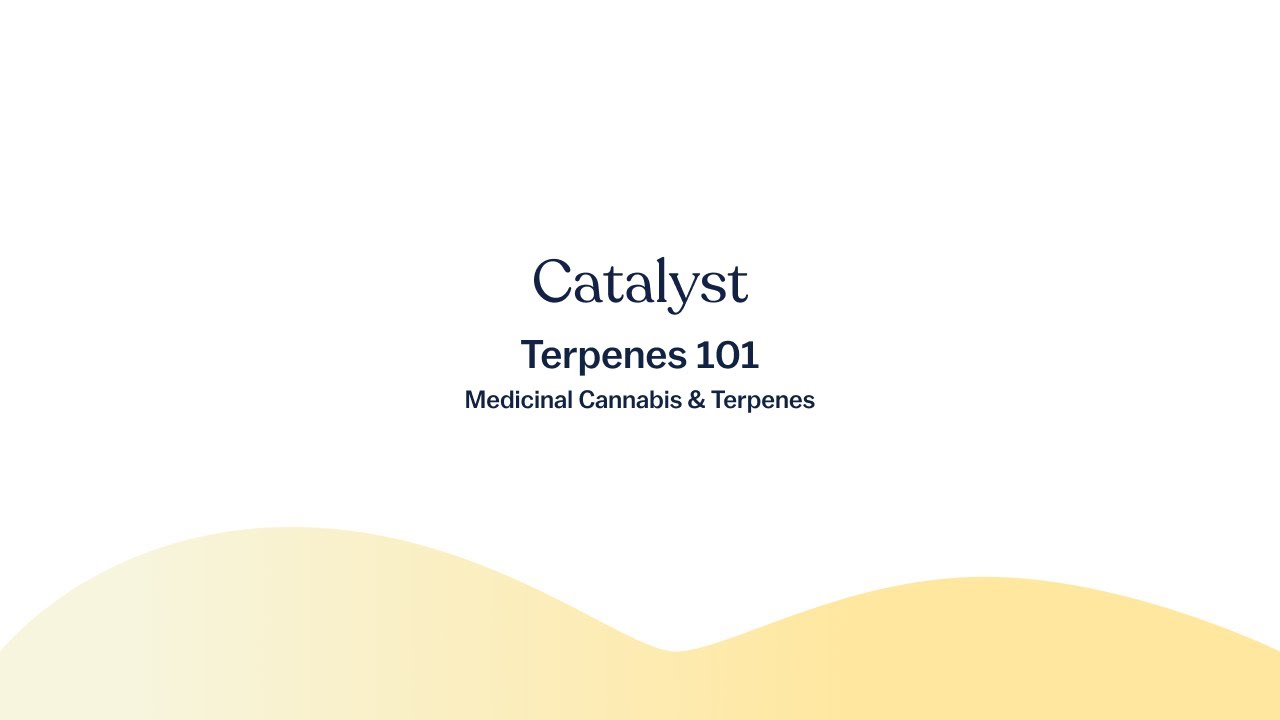 Terpenes 101 - Understanding Terpenes and Medicinal Cannabis