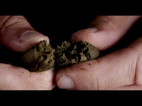 Inside the Craft: The Making of Vortex Afghan Black Hash