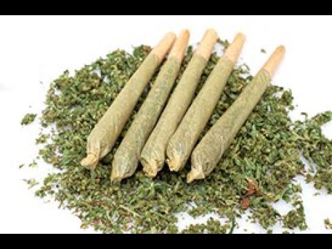 The Evolution of the Pre Roll