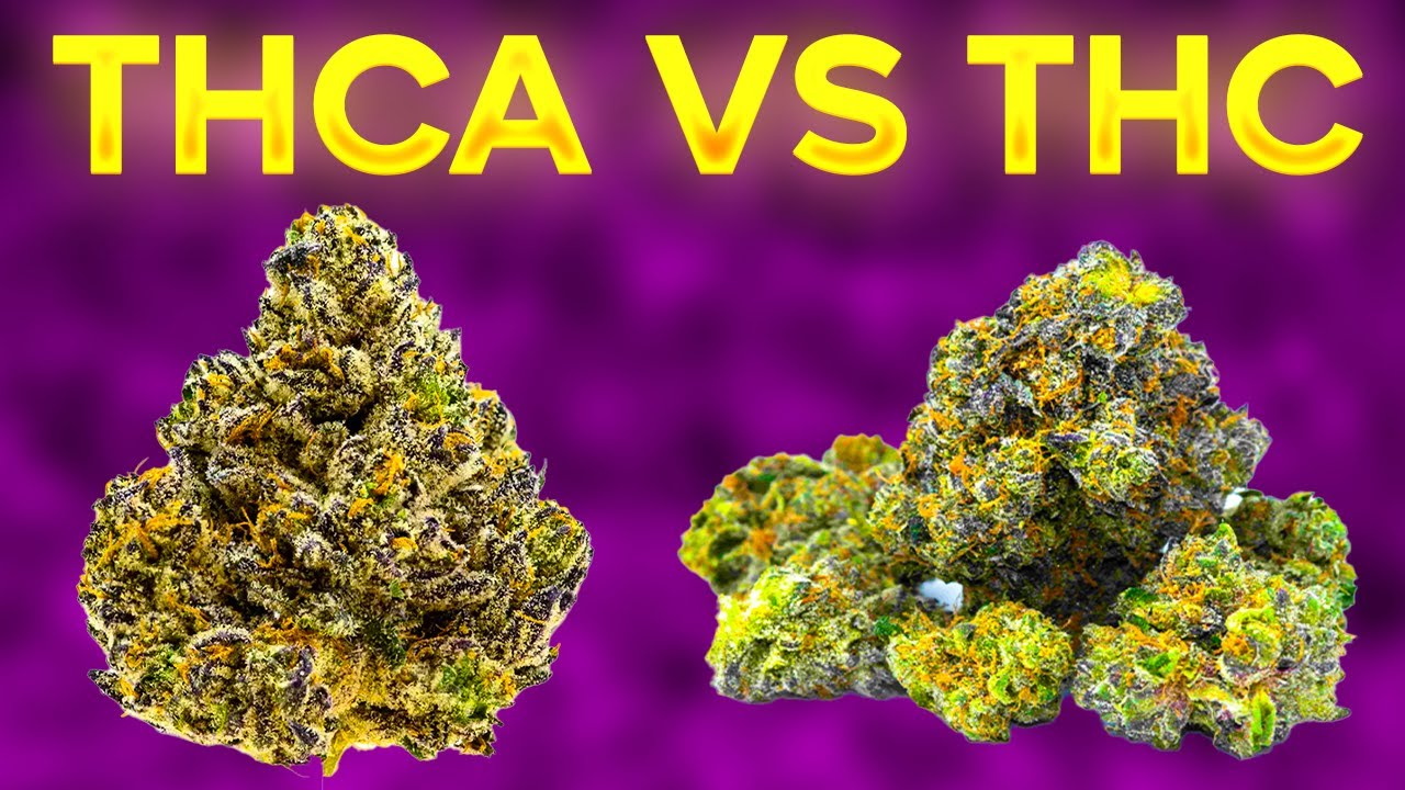 THCa vs. THC: What’s the Difference and Why It Matters?