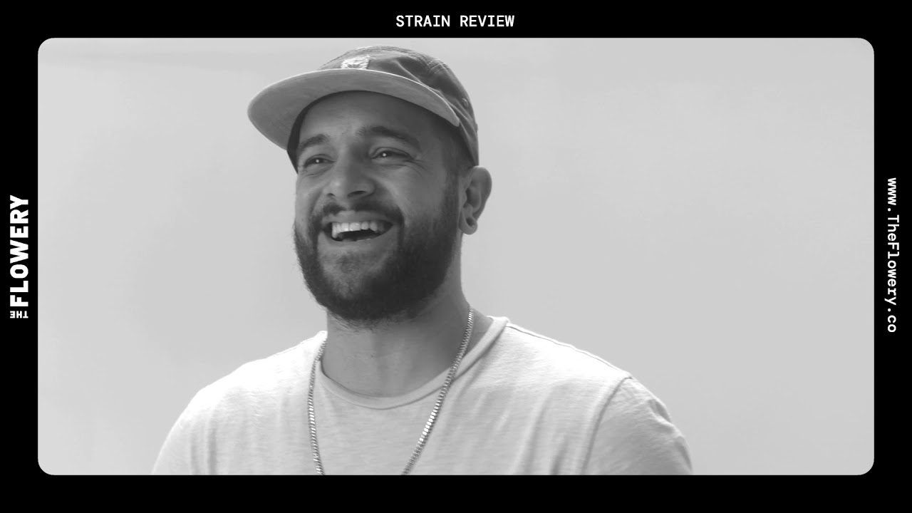 Strain Review: Biscotti Cookies from The Flowery