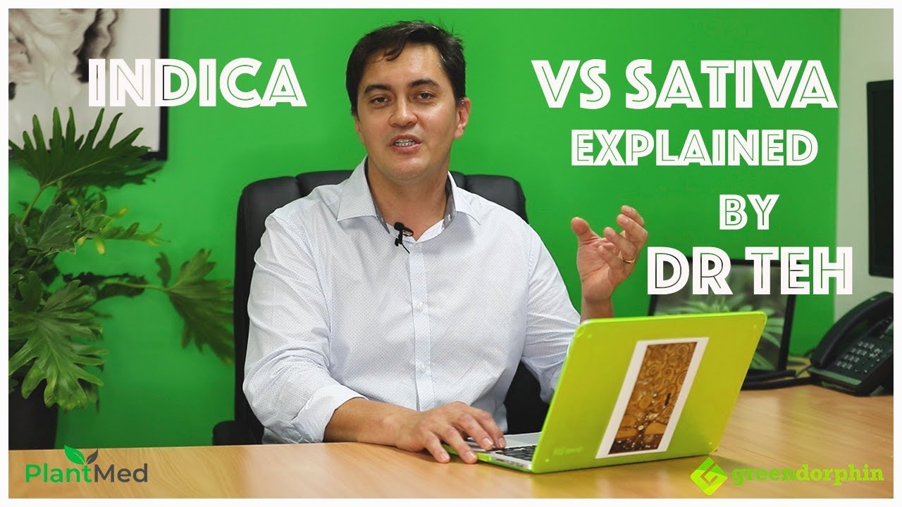 Sativa vs Indica Explained by Dr Teh Cannabinoid Clinician