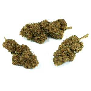 CBD weed blueberry haze