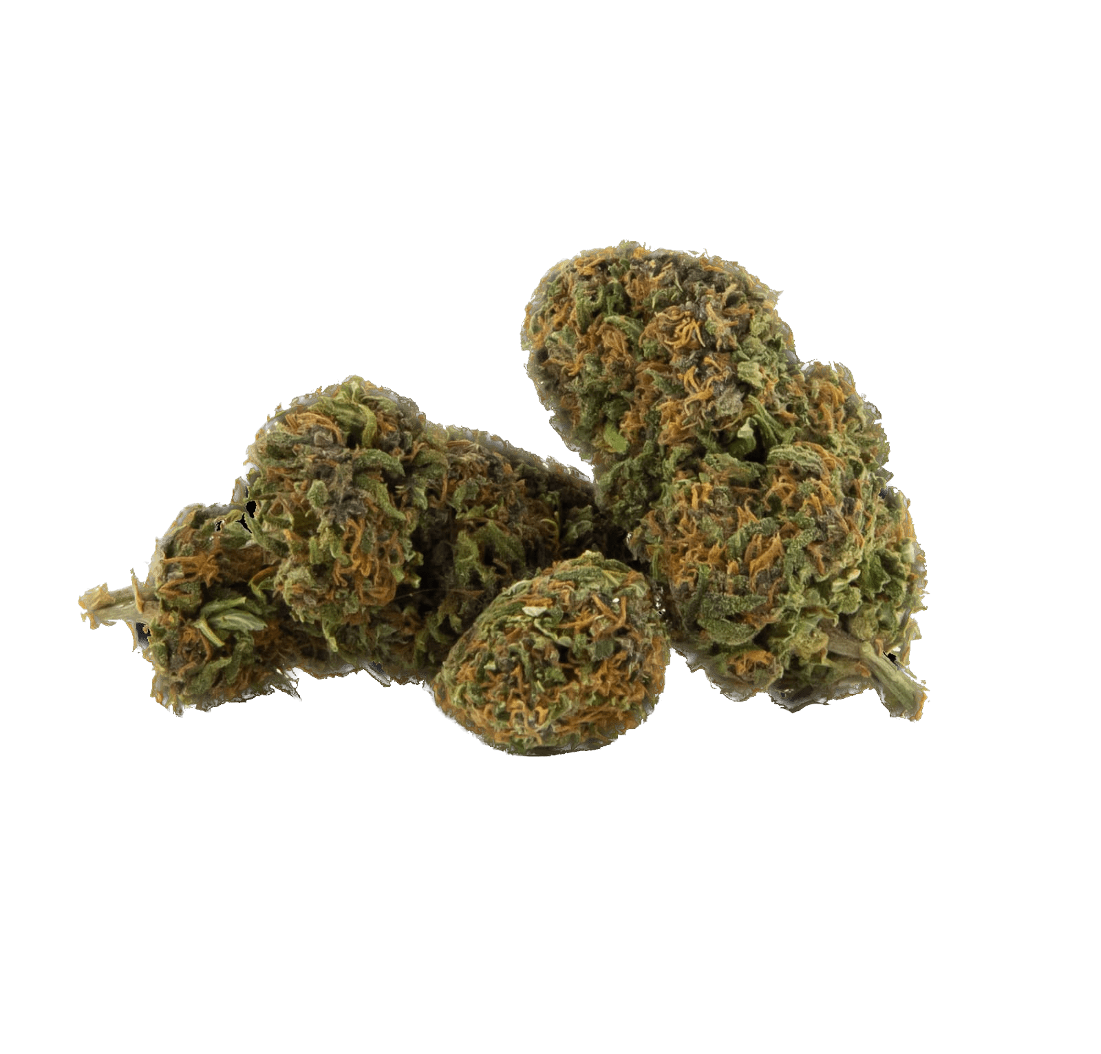 Gelato CBD lovlig weed