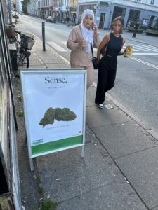 Sivas D&oslash;gn kiosk &aring;rhus