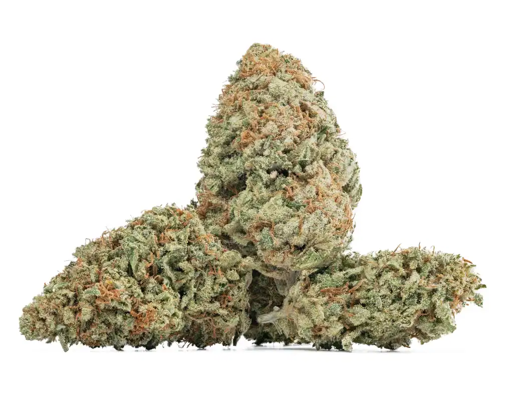 THCa Topskud 25% - New York Diesel