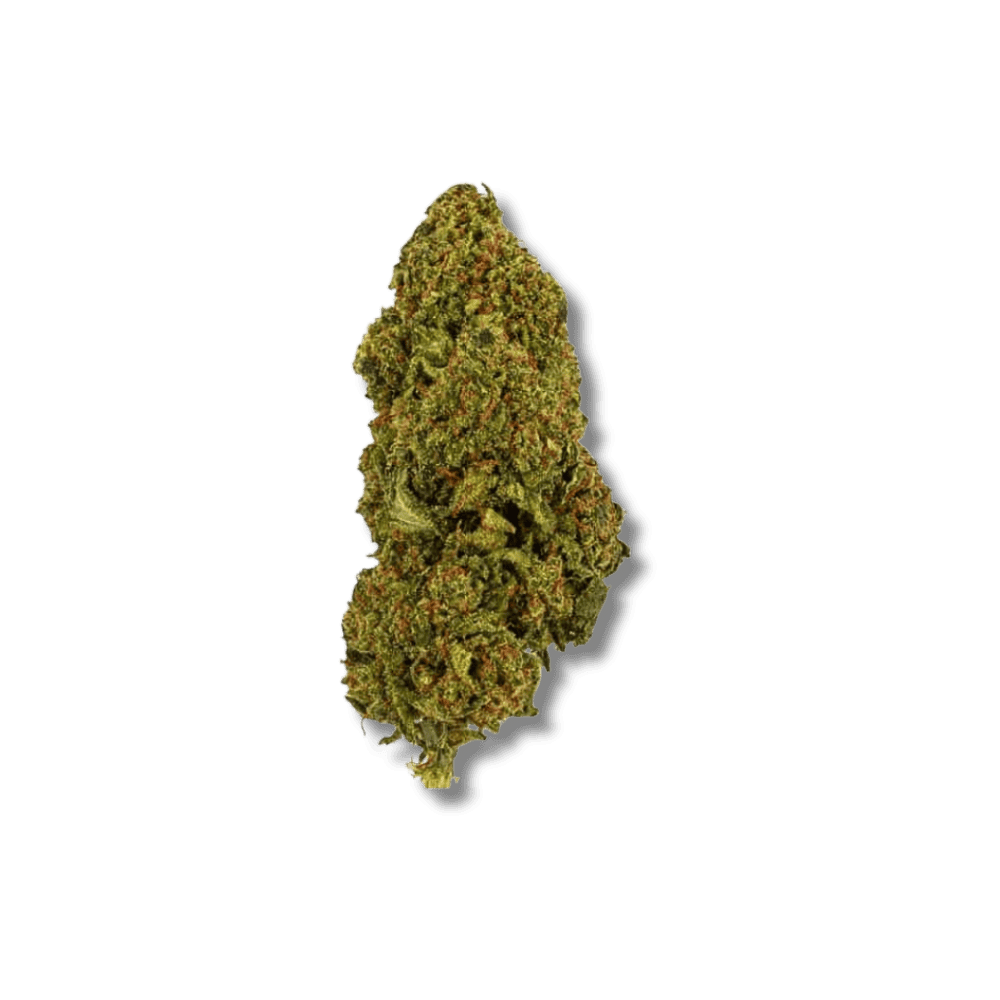 New york diesel thca topskud