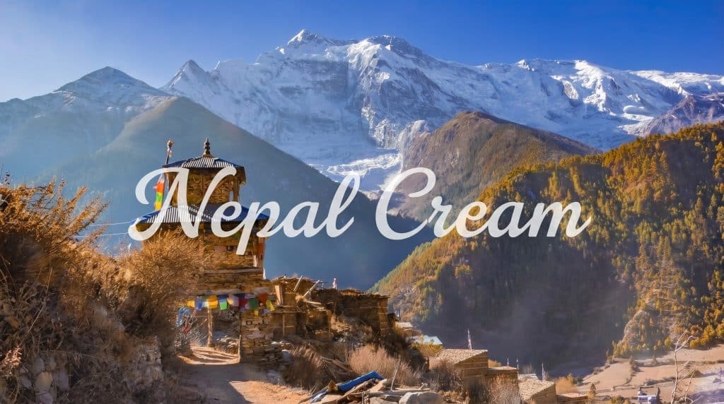 Nepal Cream med bjerglandskab, sneklædte tinder og traditionel bygning i forgrunden, som understreger strainens nepalesiske inspiration.
