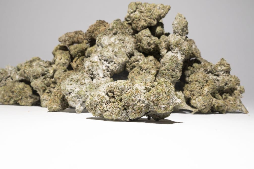 Skywalker thca topskud