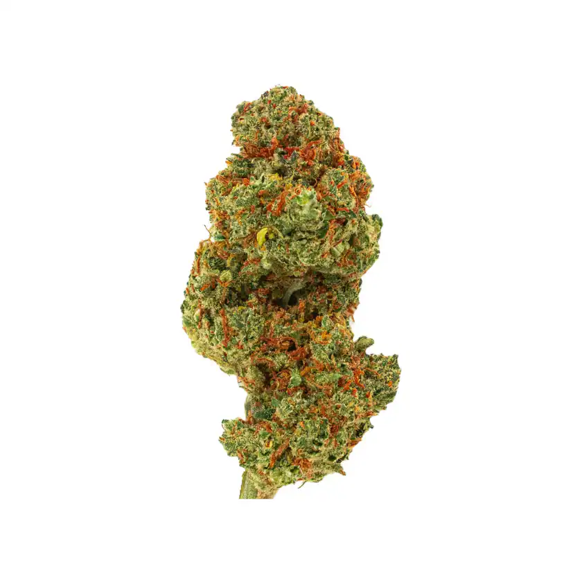 thca topskud super lemon