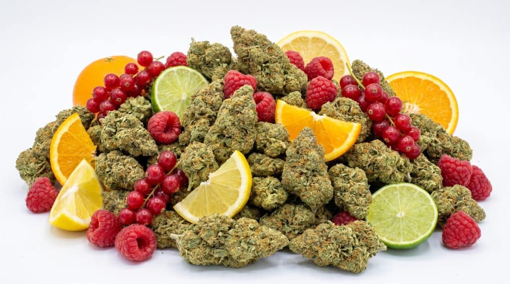 Raspberry Punch topskud arrangeret med hindbær, citrusfrugter og røde bær på lys baggrund, som fremhæver strainens frugtige og sødsyrlige profil.
