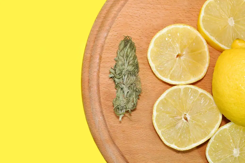 Super Lemon cannabisblomst på træbakke med friske citronskiver på gul baggrund.
