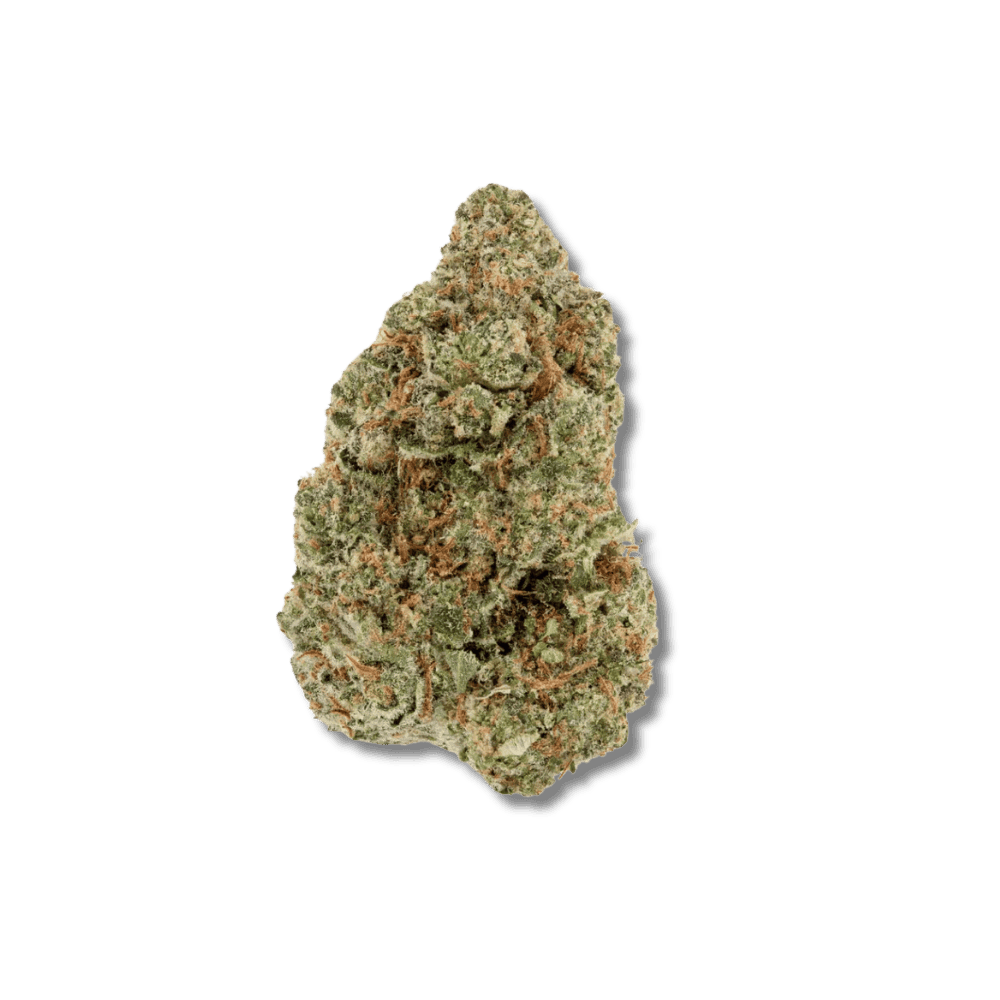 Her ser du vores half baked strain med lyssegr&oslash;nne farver og massere af synlige trichomer