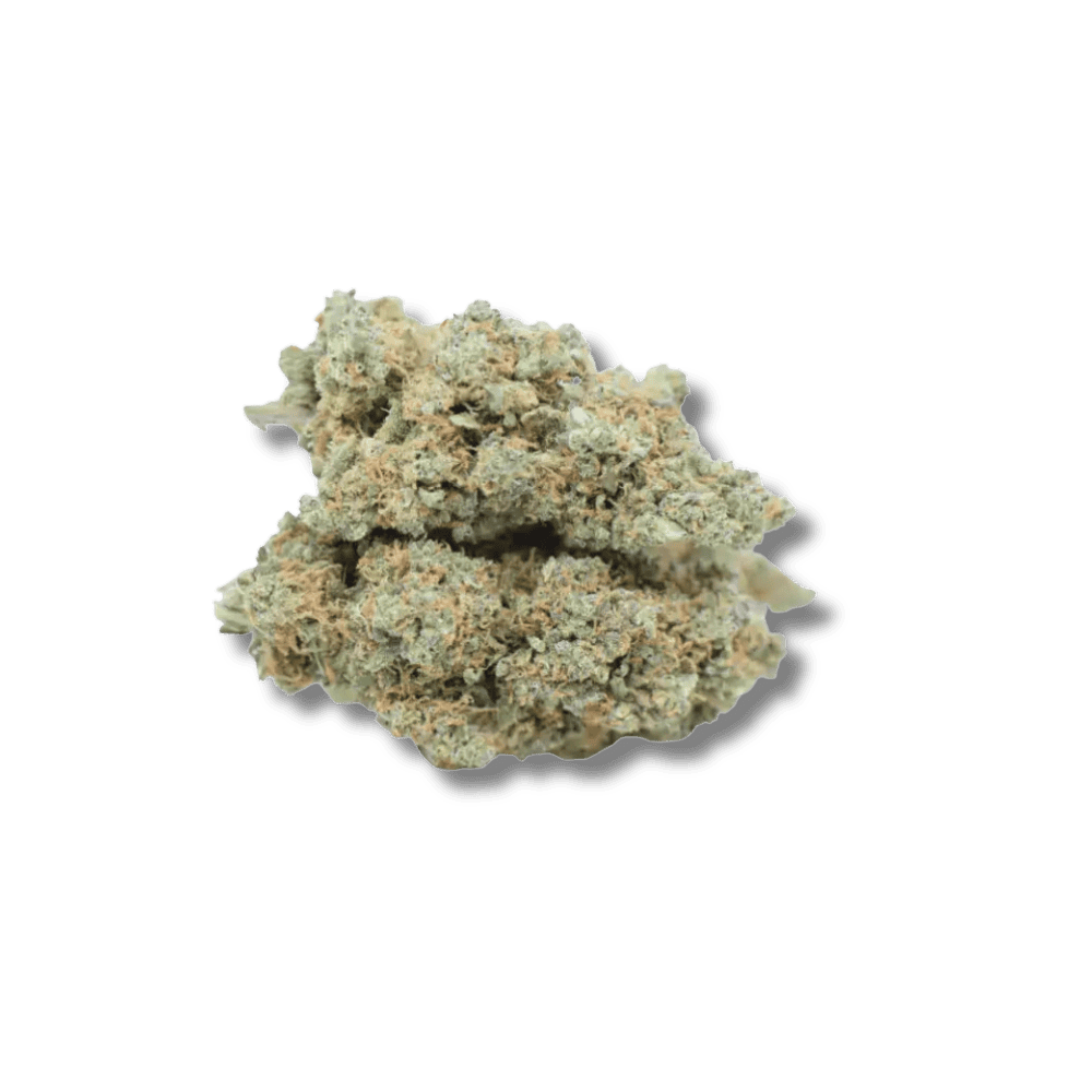 her ser man vores flotte cupcake strain med en meget gr&oslash;n nuance og hvid baggrund