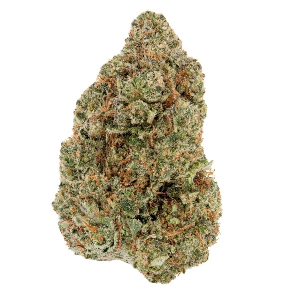 Her ser du vores half baked strain med lyssegr&oslash;nne farver og massere af synlige trichomer