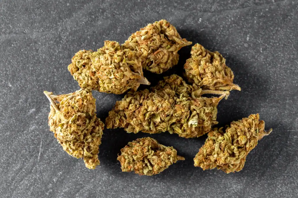 Close-up af Half Baked topskud placeret på mørk, rå overflade med tydelig struktur og gyldengrønne nuancer.
