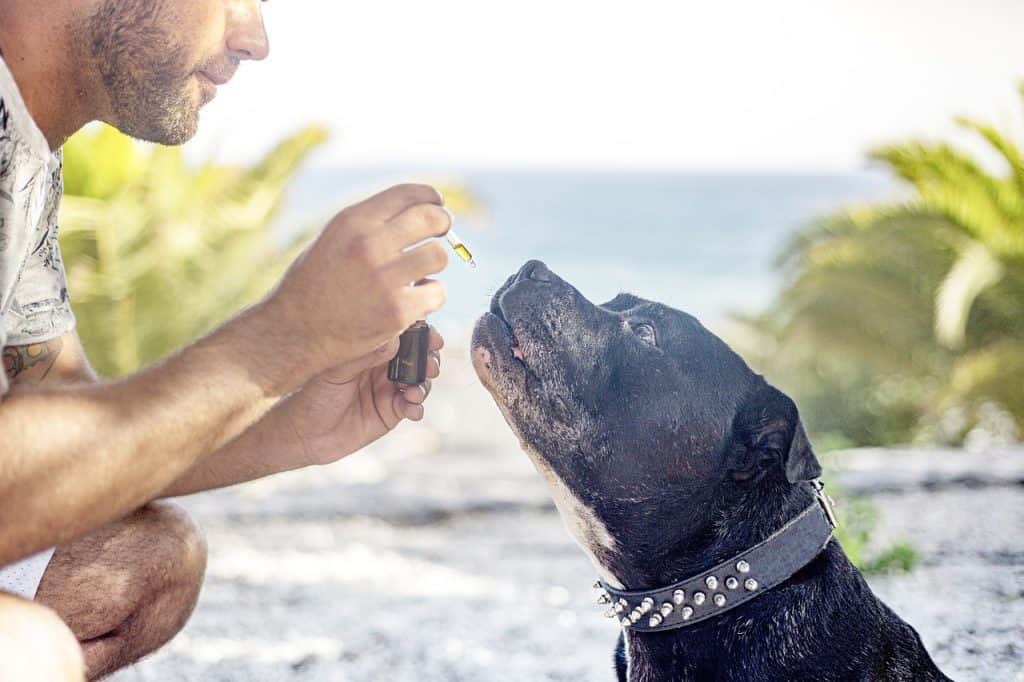 Hvad er CBC-cannabinoid?