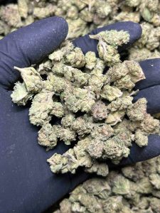 THCA POPCORN BUDS LEMONADE