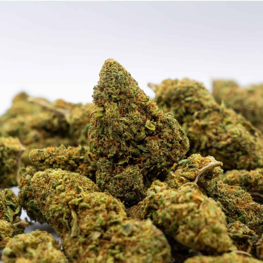 Flavonoider i THCA-cannabis forklaret.
