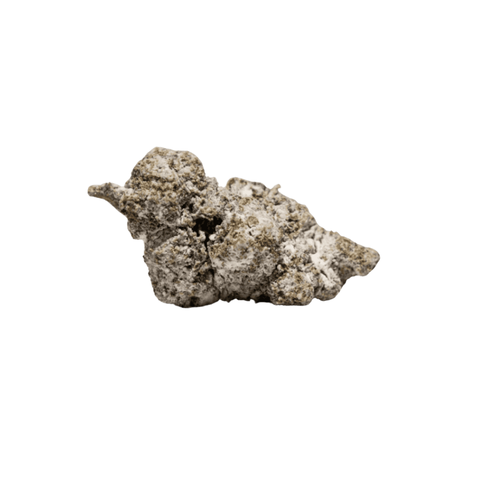Polar Bear THCa Topskud