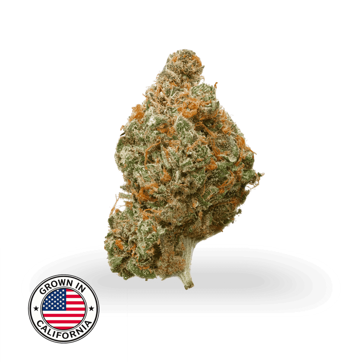 THCa topskud blueberry muffin fra californien