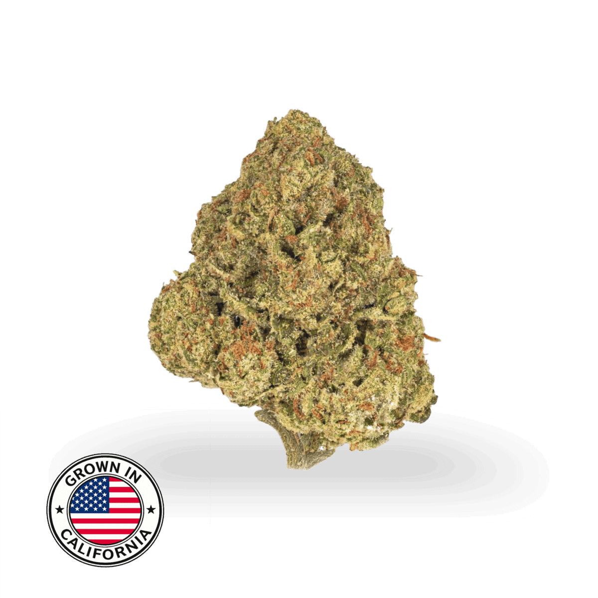 THCa topskud G41 fra californien