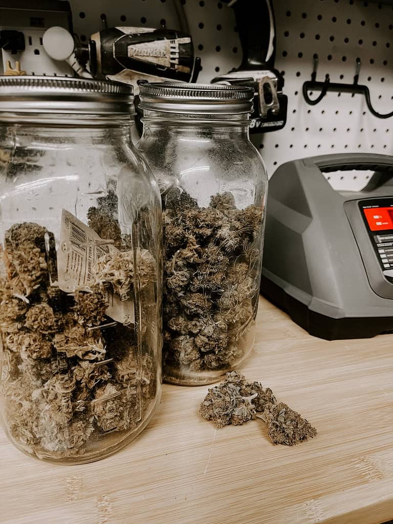 Glas med hamptoppe mærket som potpourri og ikke til indtagelse
